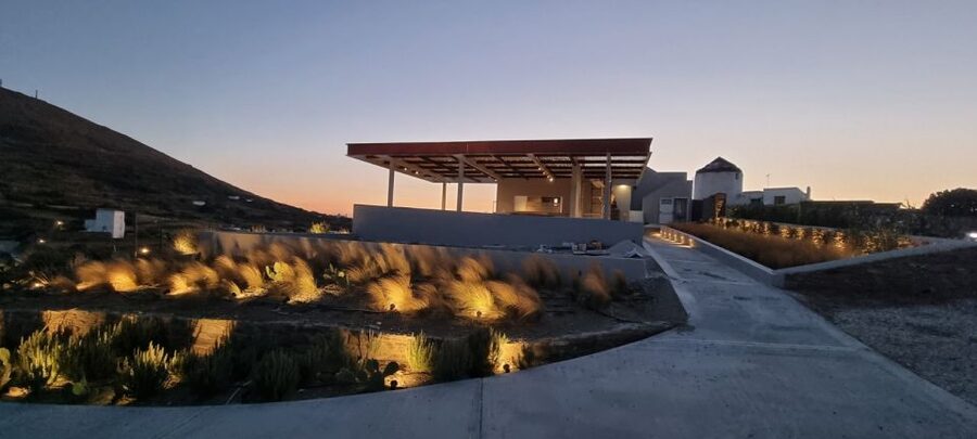 Tinos: Winery Tour and Wine Tasting Paired with Snacks - Vineyard walk with the winemaker: where the tasting story starts