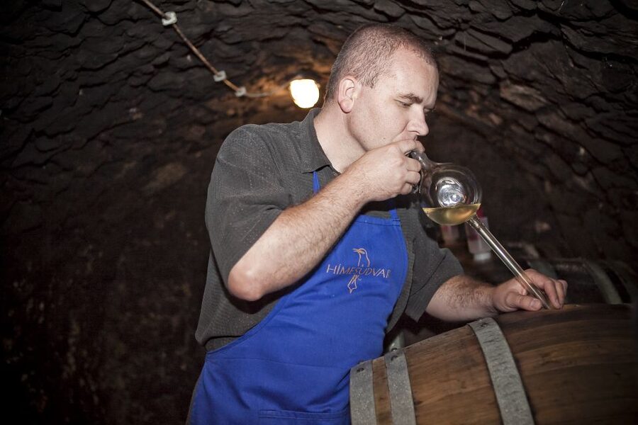 Tokaj: Vineyard Tour & Tasting - Quick Reasons To Go
