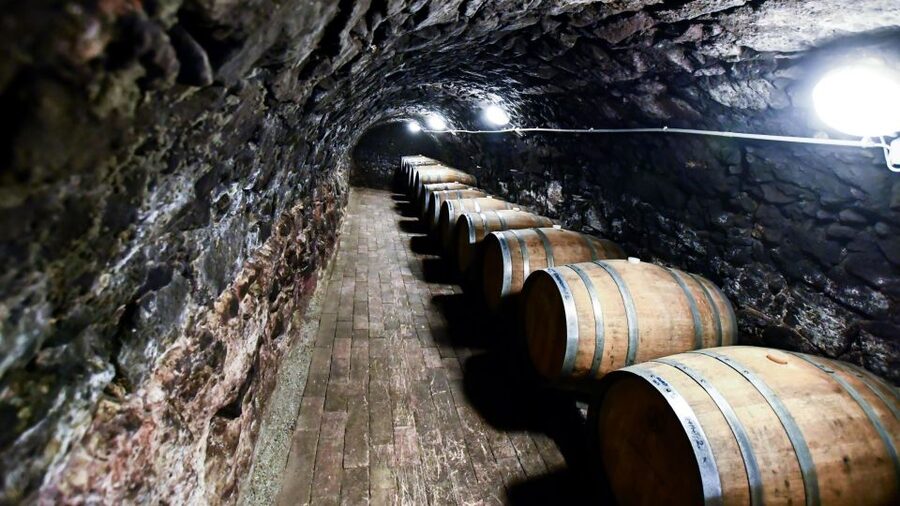 Tokaj: Vineyard Tour & Tasting - Getting To Hímesudvar: Simple Pickup in Tokaj, Tarcal, or Bodrogkeresztúr