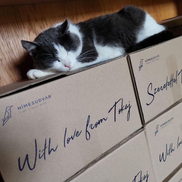 Tokaj: Vineyard Tour & Tasting - Who This Tour Suits Best (And Who Might Want to Skip)