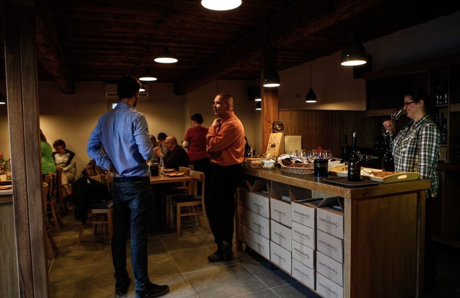 Tokaj: Vineyard Tour & Tasting - A 30-Minute Vineyard Walk With Bodrog River Views