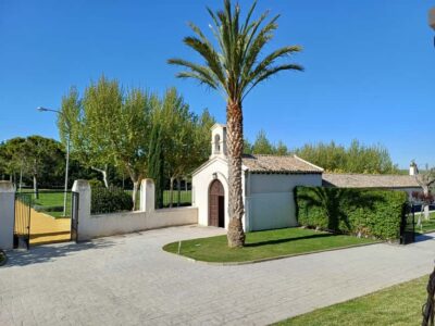 Toledo: Casa del Valle Winery Tour and Wine Tasting - The vineyard walk: grape varieties and sustainable practices you can picture