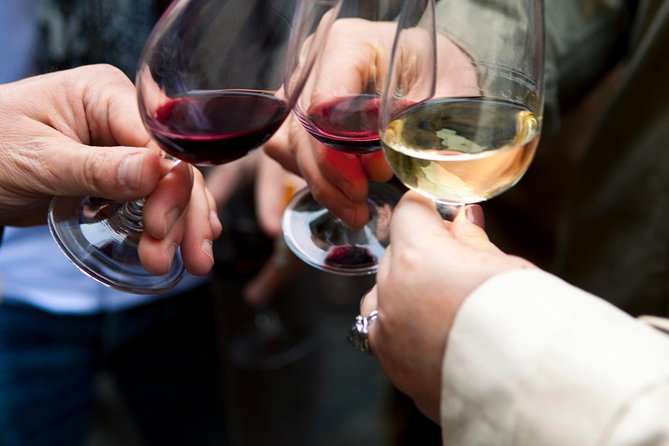 Toledo Full Day with Winery Visit, Tapas and Wine Tasting - Mirador del Valle: Your First Great View of Toledo