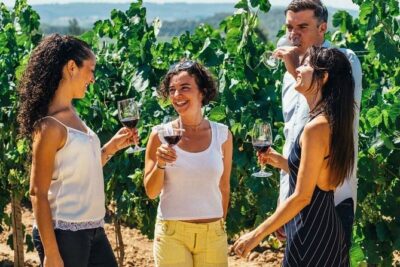 Toledo Tour & Vineyard Walk with Wine Tasting from Madrid - Walking the Jewish Quarter: old streets, clear orientation