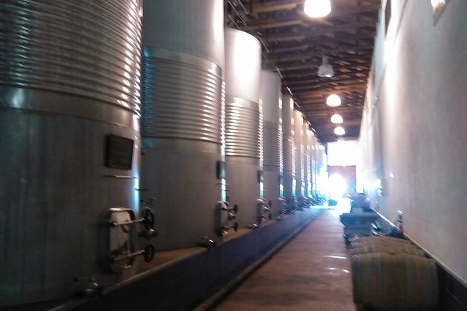 Toledo, Windmills, Winery Small Group Tour with Lunch from Madrid - Bodegas Peral winery tasting and 3-course lunch