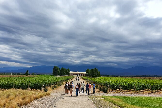 Top Rated: Winery Tour with Lunch in Mendoza - Mendoza wine day in Maipú: why this route works