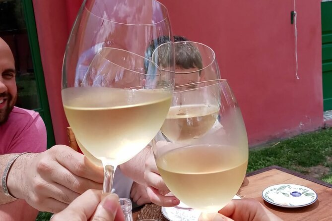 Top Rated: Winery Tour with Lunch in Mendoza - Timing hiccups: how to handle a late start without ruining the day