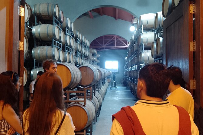 Top Rated: Winery Tour with Lunch in Mendoza - Group size and guides: what “small” means here