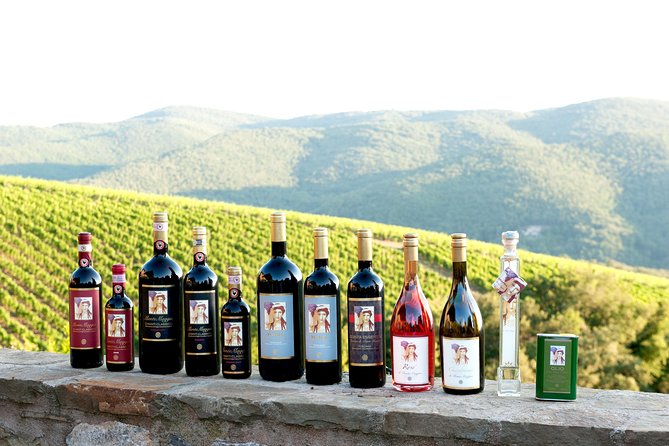Tour and Tasting at an Organic Winery in the Heart of Chianti Classico Area - Key points at a glance