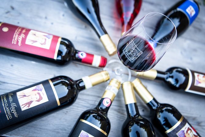 Tour and Tasting at an Organic Winery in the Heart of Chianti Classico Area - Fattoria di Montemaggio: the Chianti stop that feels hands-on