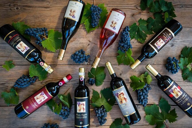Tour and Tasting at an Organic Winery in the Heart of Chianti Classico Area - Tasting five wines with bread, olive oil, and local bites