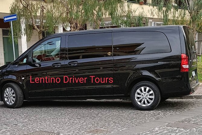 Tour from Naples to Pompeii and Winery - Winery lunch and Vesuvius wine tasting: the part many people remember
