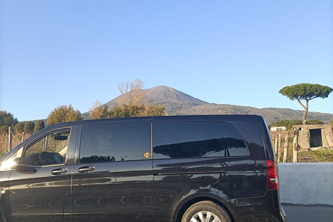 Tour from Naples to Pompeii and Winery - What “private tour” really means for your day