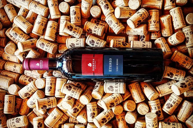 Tour in the Winery and tasting - Getting There: Walk, Bus, or Taxi