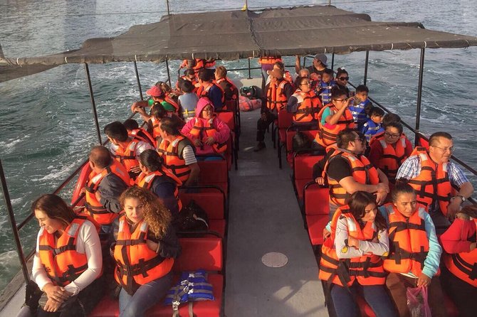 Tour la buffadora/pai pai park/four fours vineyard - Ensenada Port Time and the Malecón: Where the Day Gets Local