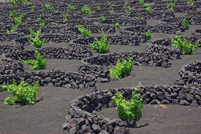 Tour Lanzarote South with Winery Visit - Los Hervideros: When the Sea Does the Sculpting