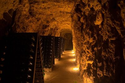 Tour of a Vineyard, Winery & Cellar with Wine Tasting in Vouvray, Loire Valley - “Rendez-Vous dans les Vignes”: walking the vines in Chançay’s countryside