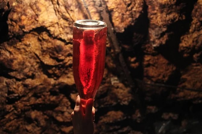 Tour of a Vineyard, Winery & Cellar with Wine Tasting in Vouvray, Loire Valley - The tasting table: six Loire wines with local pairings
