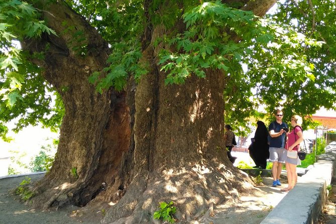 Tour to Kakheti. Sighnaghi –Bodbe Monastery –Tsinandali –Telavi –Winery –Gombori - Gombori Pass on the return: mountain views at the highest point