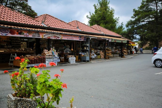 Tour to Troodos, Kykkos Monastery, Omodos and Winery from Paphos - Paphos to Troodos in one day: monasteries, village lanes, and wine