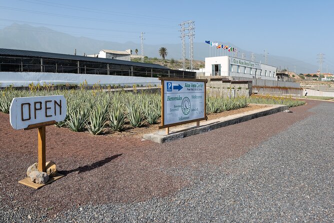 Tour Visiting banana plantation and winery in Tenerife - Finca Las Margaritas Banana Experience: what you actually learn