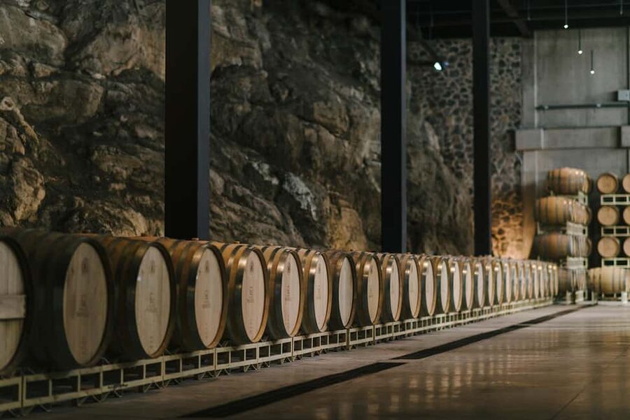 Tour & Wine Tasting San Miguel Vineyard / San Miguel Experience - Key things to know before you go