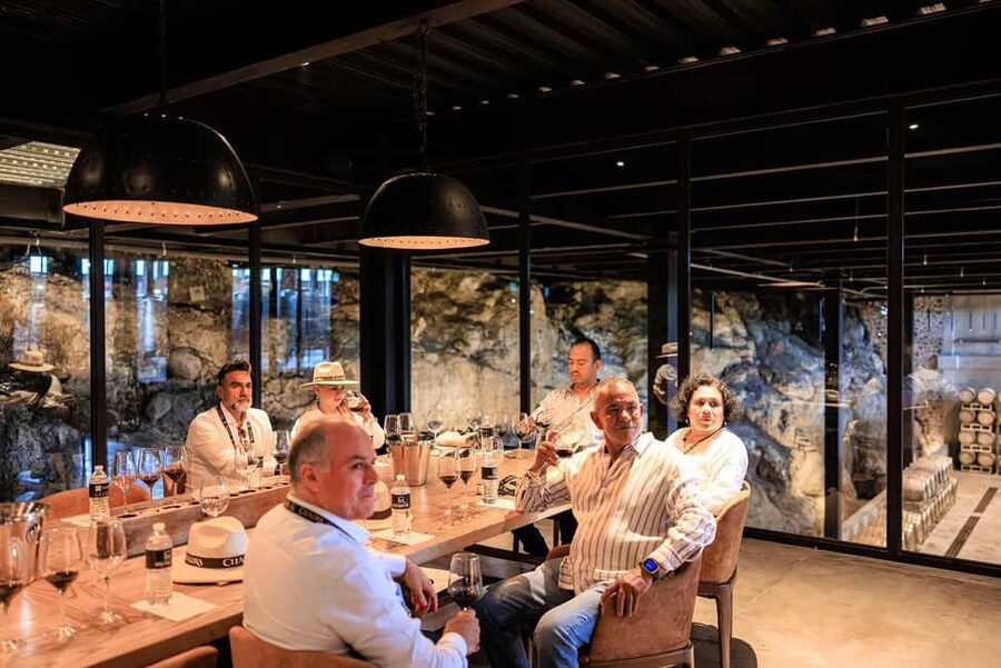 Tour & Wine Tasting San Miguel Vineyard / San Miguel Experience - Chef David Quevedo’s 5-course pairing: how to taste with food