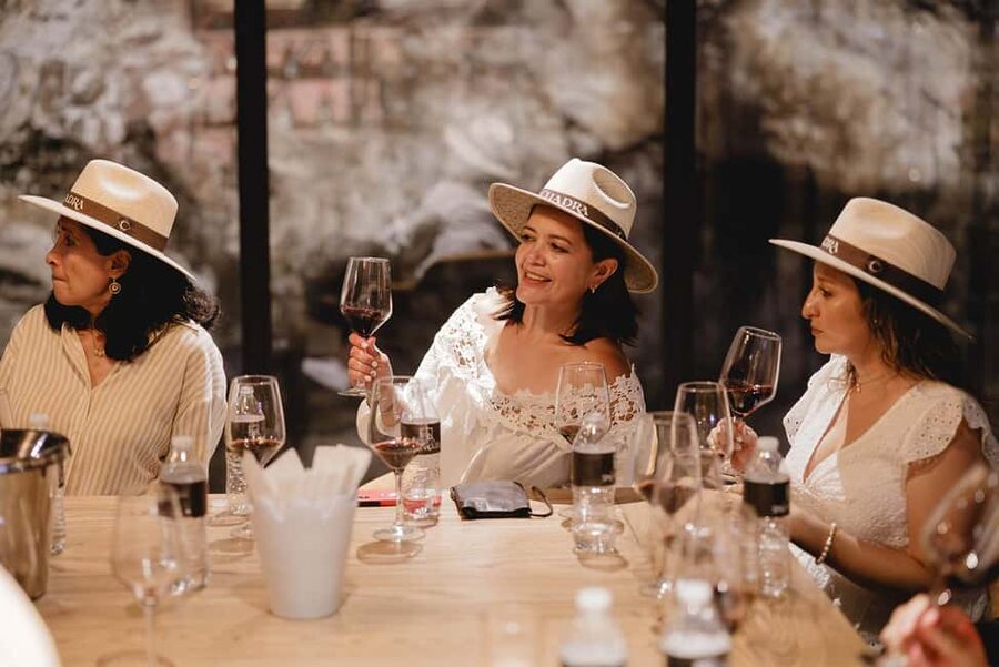 Tour & Wine Tasting San Miguel Vineyard / San Miguel Experience - Price and value: is $84 worth it in San Miguel?