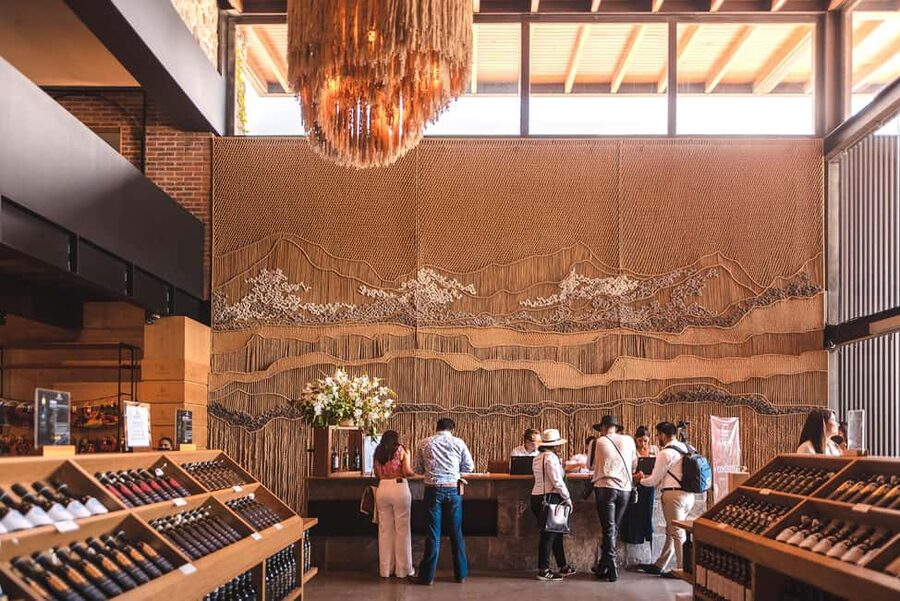 Tour & Wine Tasting San Miguel Vineyard / San Miguel Experience - Where it fits in your day: meeting point and timing