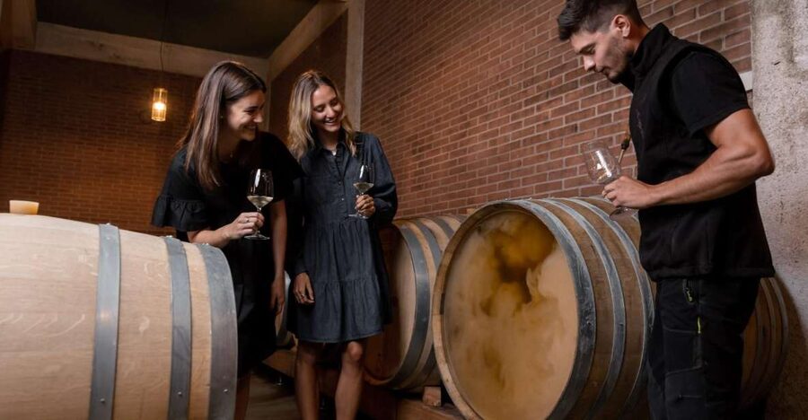 Tramin/Termeno: Winery Tour & Wine Tasting, J. Hofstätter - Tramin-Termeno’s Hofstätter: why this tour feels personal
