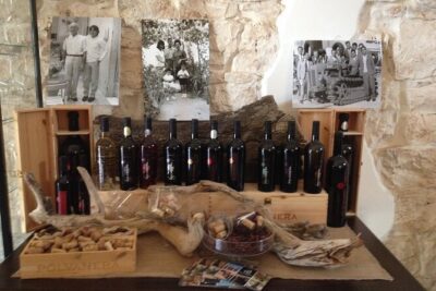 Trani: Wine tasting & Light Lunch in a Vineyard - Your tasting lineup: four wines and a lunch built to match