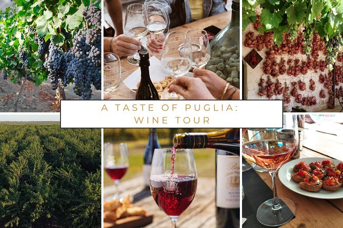 Trani: Wine tasting & Light Lunch in a Vineyard - Who should book this wine tasting in Trani?