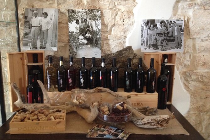 Trani: Wine tasting & Light Lunch in a Vineyard - Your tasting lineup: four wines and a lunch built to match