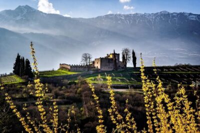 Trento: Balter Winery Guided Tour with Wine Tasting - Inside the 16th-Century Castle: Why It Matters for Your Tasting