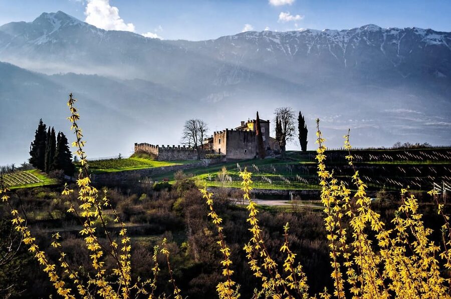 Trento: Balter Winery Guided Tour with Wine Tasting - Inside the 16th-Century Castle: Why It Matters for Your Tasting