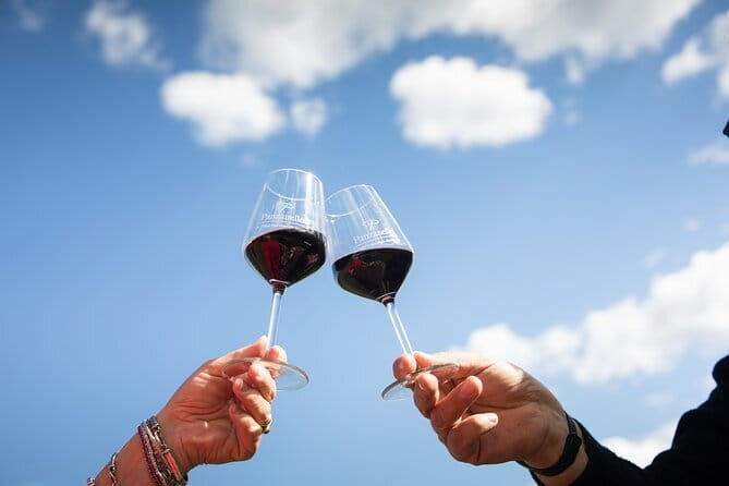 Triumph of Flavors, Winery Tour, Organic Wines in Panzano in Chianti - Key things that make this tour worth your time