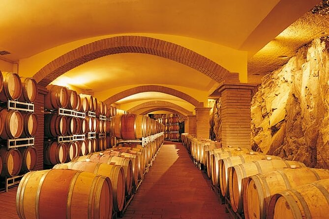 Truffle hunting and lunch experience, with Vinci and winery. - San Miniato Woods: The Two-Hour Truffle Hunt and What to Expect