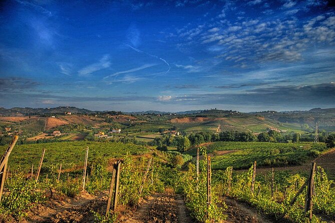 Truffle hunting and lunch experience, with Vinci and winery. - Vinci and Leonardo’s Birthplace: More Than a Quick Look