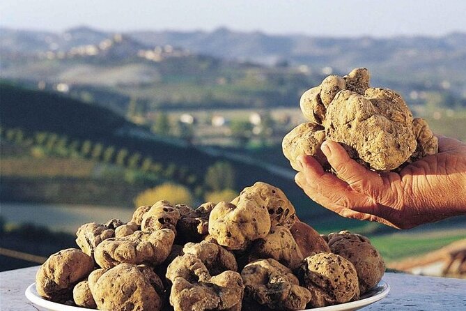 Truffle hunting and lunch experience, with Vinci and winery. - Chianti at a Family-Run Cellar: Enjoy the Tasting, Manage Expectations