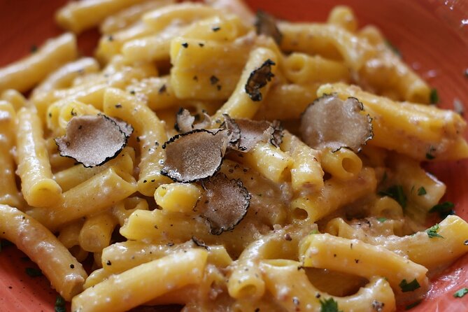 Truffle hunting and lunch experience, with Vinci and winery. - Who This Day Trip Suits Best in Real Life