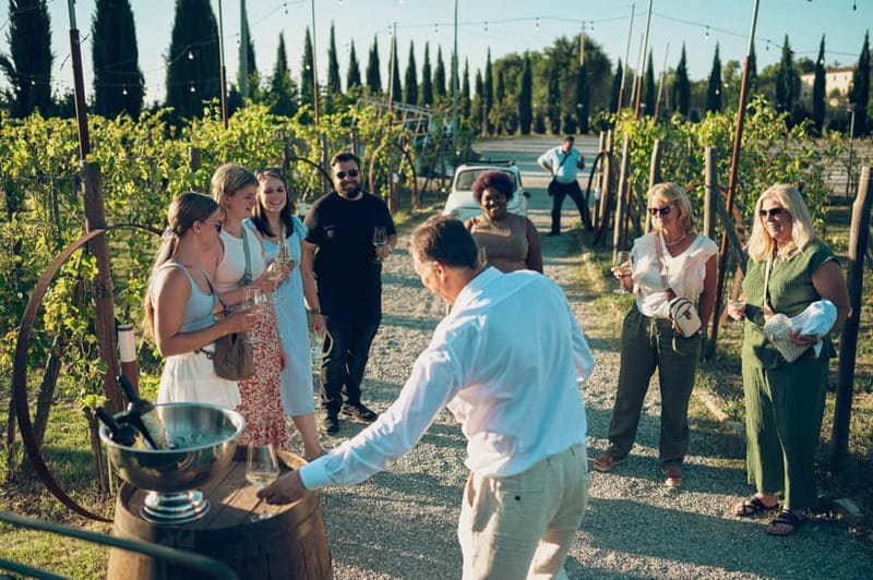 Tuscan Vineyard Dinner with Wine Tasting - Key highlights at a glance
