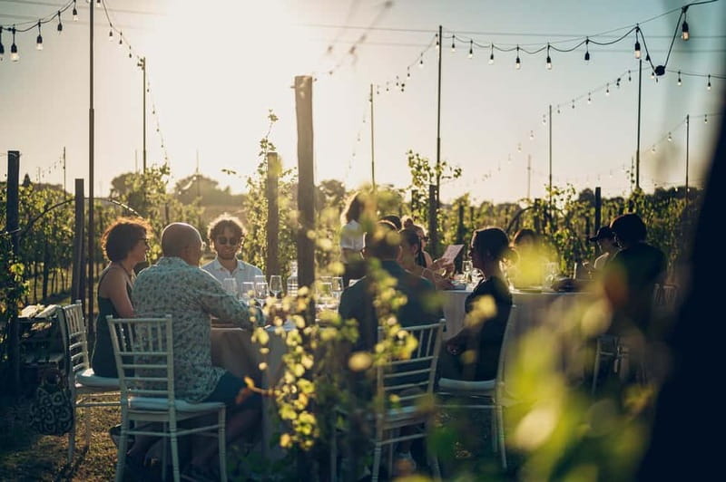 Tuscan Vineyard Dinner with Wine Tasting - Poggio ai Laghi in Chianti: the setting and the vibe you’ll feel in 2 hours