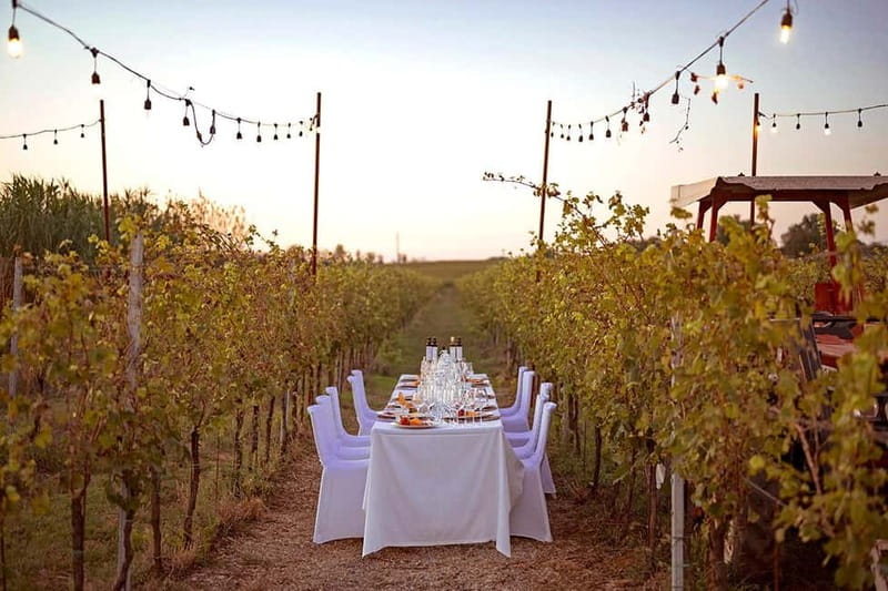 Tuscan Vineyard Dinner with Wine Tasting - The guide experience: when Simone’s stories add real value