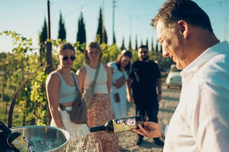 Tuscan Vineyard Dinner with Wine Tasting - Who this is best for (and who might want something else)