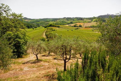 Tuscany Day Trip from Florence: Siena, San Gimignano, Pisa and Lunch at a Winery - The morning in Florence: meeting at Santa Maria Novella