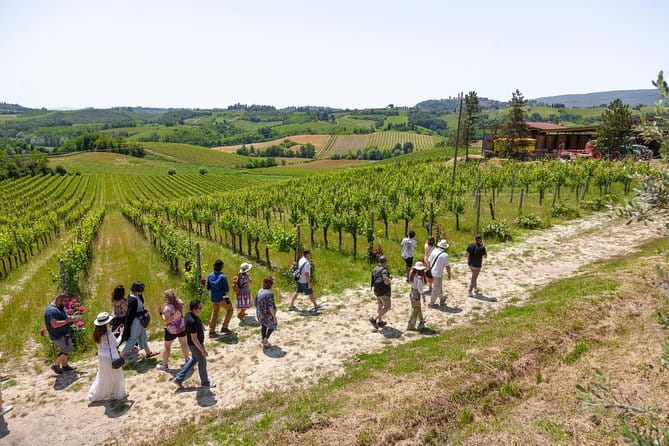 Tuscany Day Trip from Florence: Siena, San Gimignano, Pisa and Lunch at a Winery - Price and value: is $114.88 a smart deal?