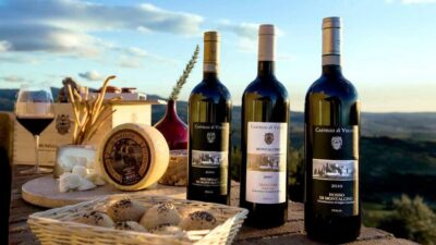 Tuscany: Montalcino Dinner at San Gimignano Winery - The Vineyard Connection to Brunello di Montalcino
