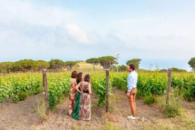 Tuscany: Ripalte Design Winery Wine and Cheese Tasting Tour - Arriving at Tenuta delle Ripalte and what your start feels like
