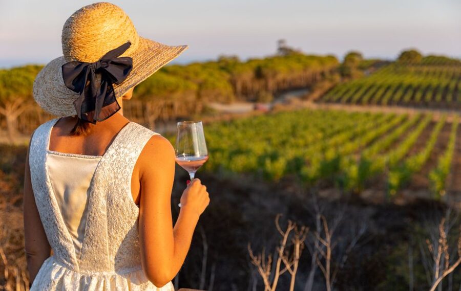 Tuscany: Ripalte Design Winery Wine and Cheese Tasting Tour - The terrace moment: sea views that make the last sip feel better
