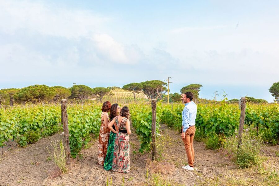 Tuscany: Ripalte Design Winery Wine and Cheese Tasting Tour - Arriving at Tenuta delle Ripalte and what your start feels like